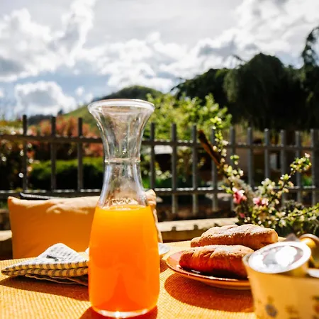 Selvicolle Lägenhetshotell Crispiero